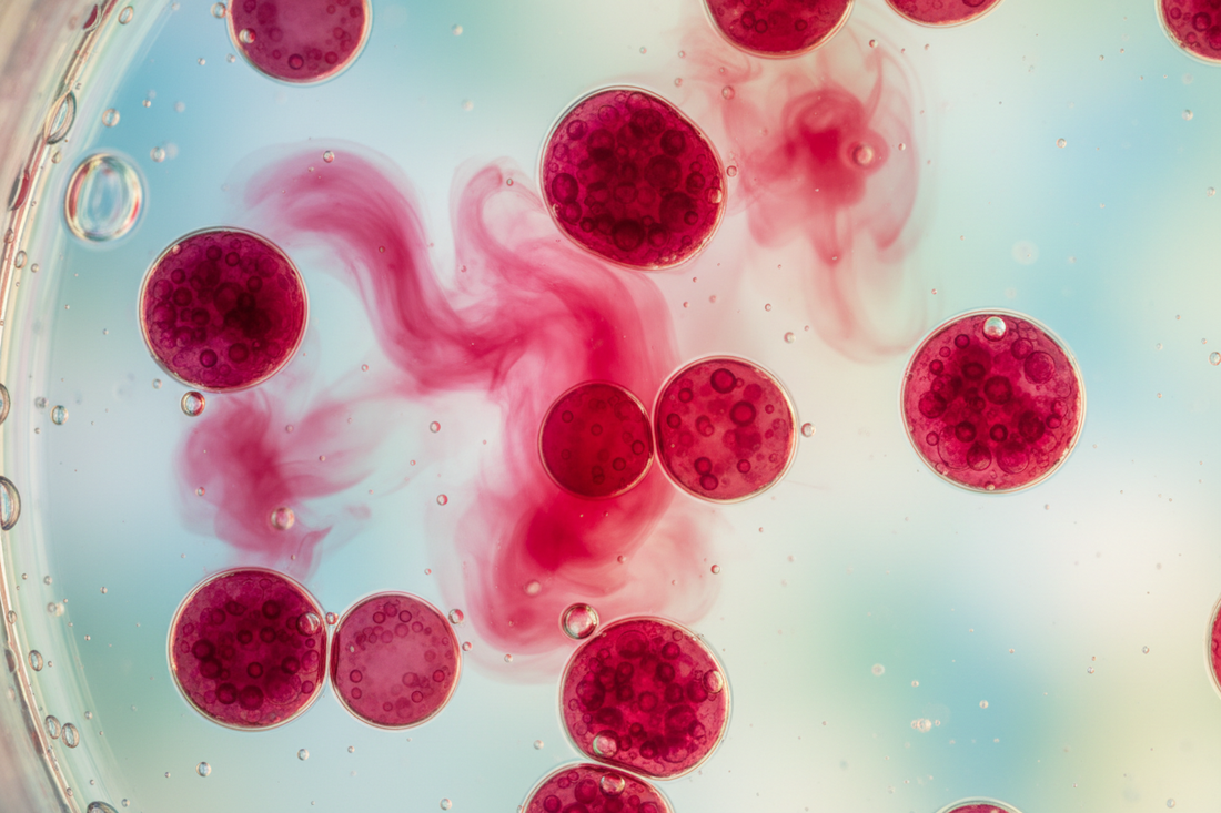 Astaxanthine : le super-antioxydant que votre peau mérite