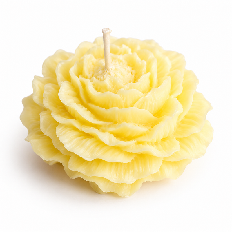 z- Velas perfumadas con forma de rosa